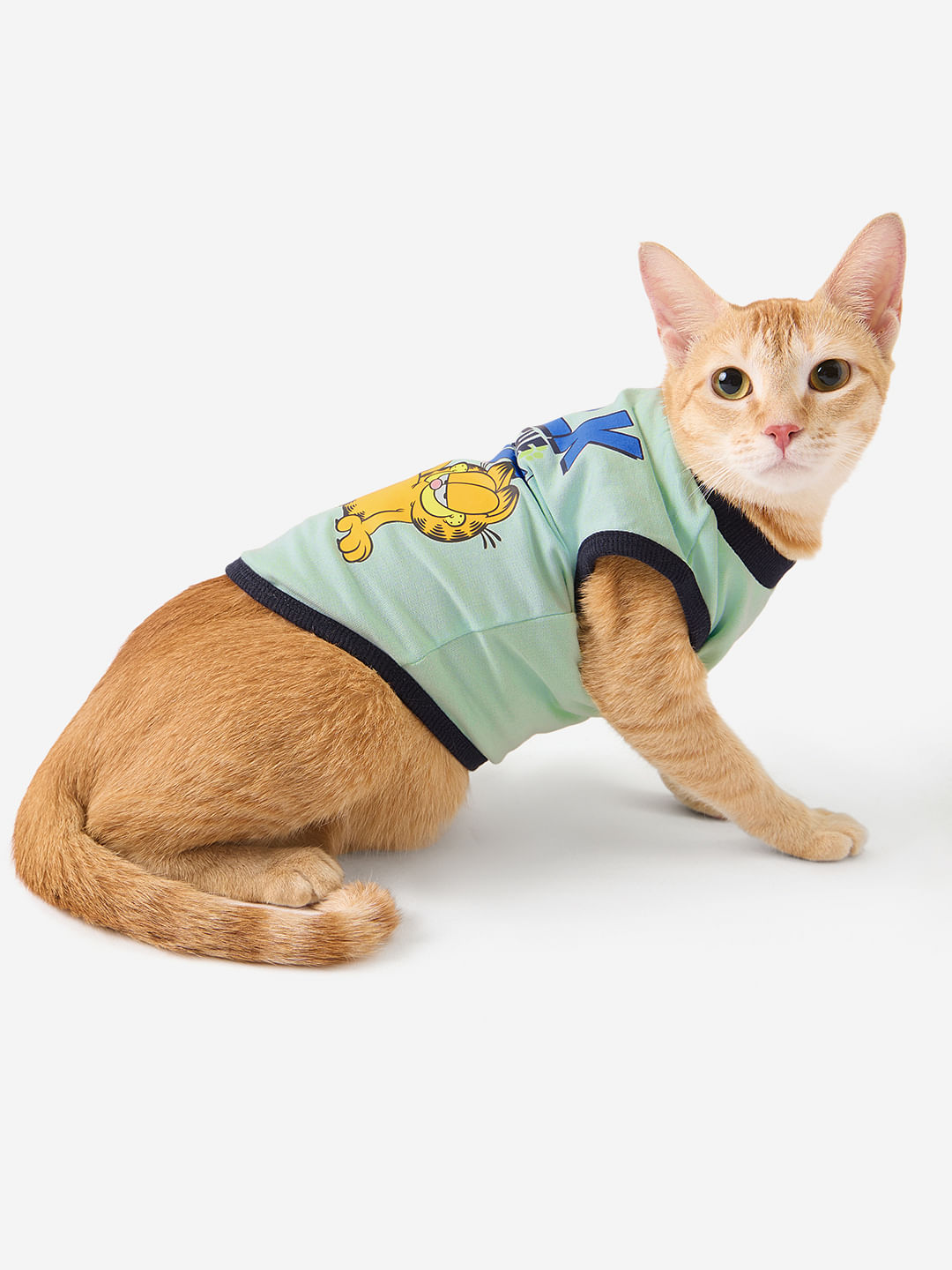 Buy Garfield: Talk To The Paw Cat T-Shirts Online