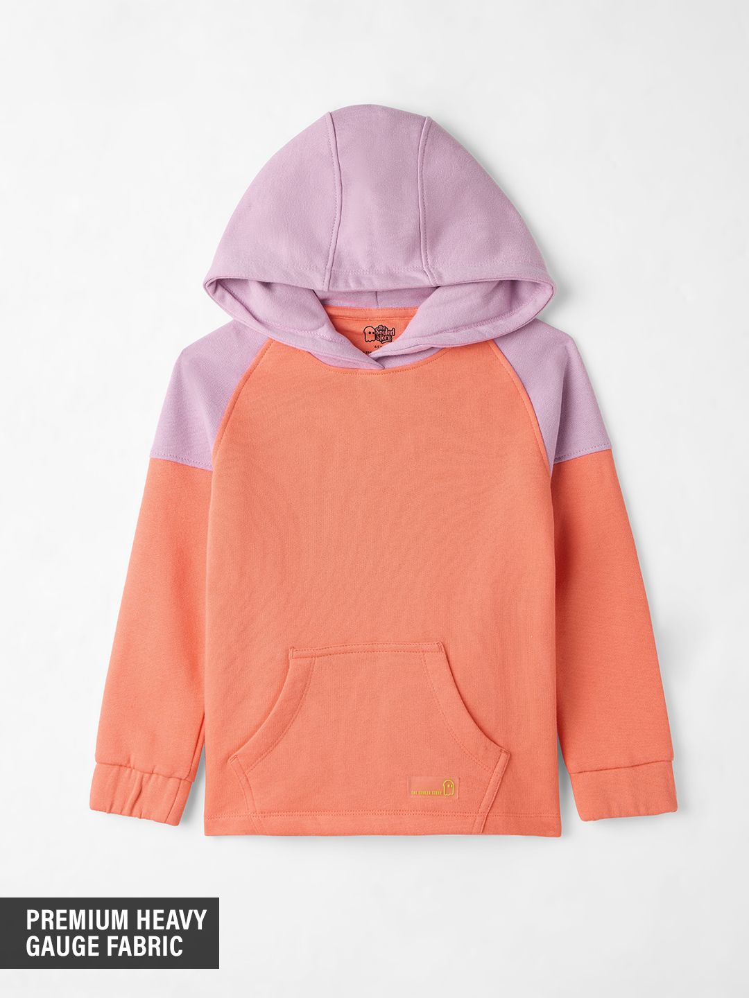 Solids: Pink, Purple (Colourblock) Girls Hoodies (2-8 Yrs) Online