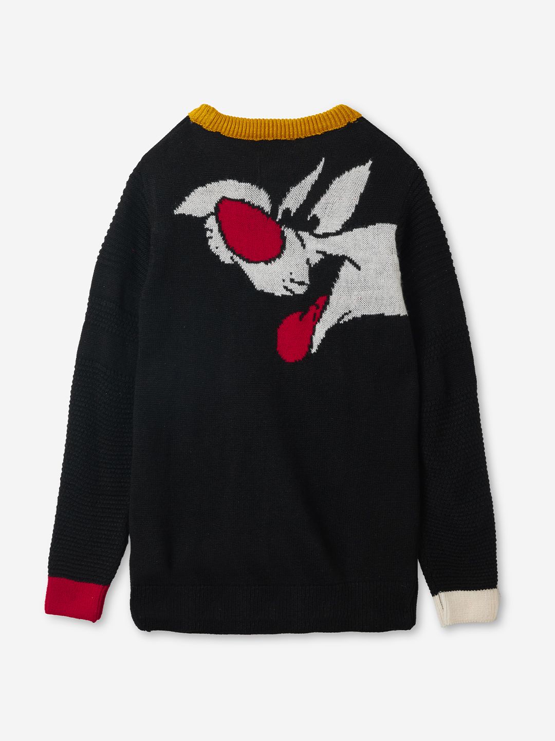 Buy Looney Tunes: Sylvester And Daffy Boys Sweaters (2-8 Yrs)