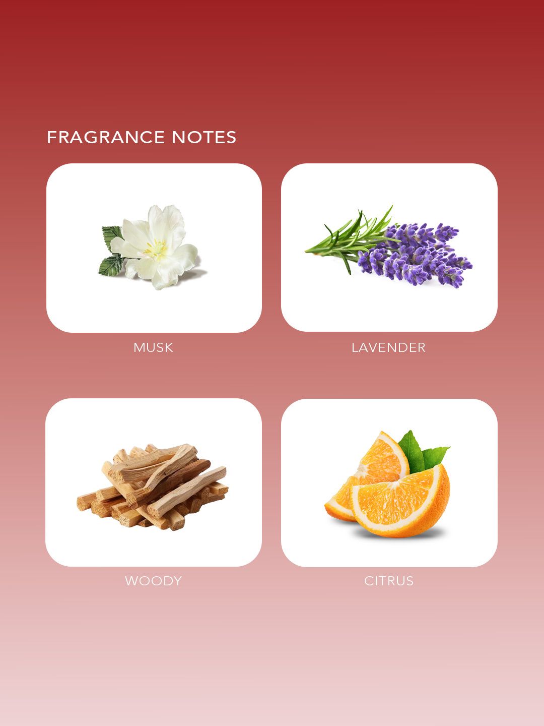 Iron Man: Billionaire - 100 ml Men Perfumes price