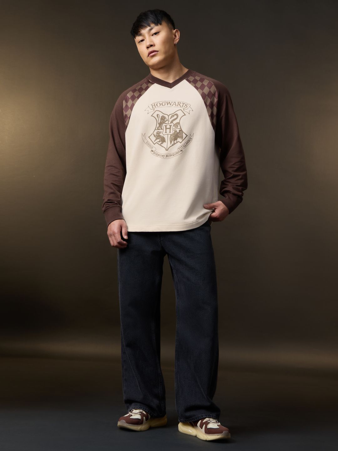 Harry Potter: Four Houses Oversized Full Sleeve T-Shirts Online