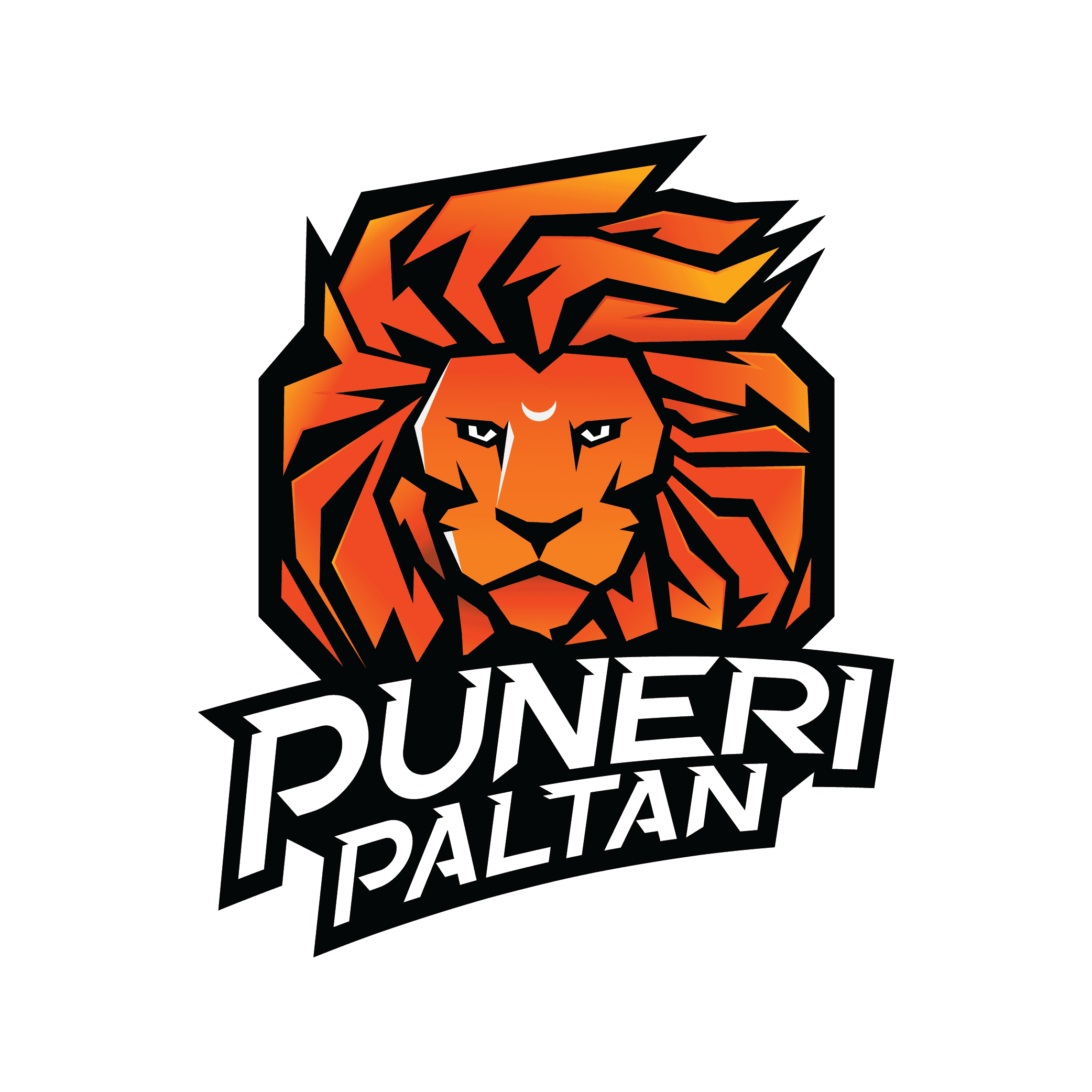 Puneri Paltan